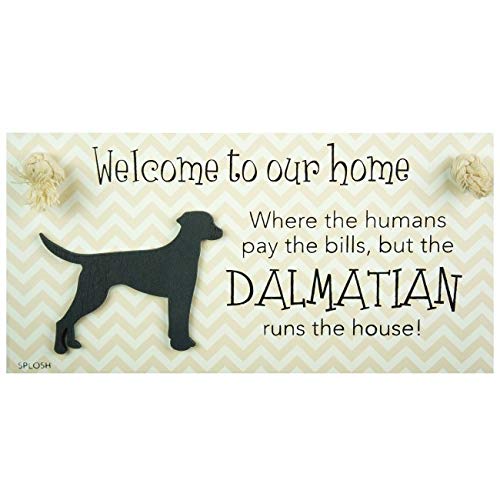 Splosh Precious Pet Dog Plaque and Dog Lead Hook Pack, Dalmatian. The funny signs are a personalised mini addition to any dog lovers home, and a welcomed accessory for all dogs. - PawsPlanet Australia