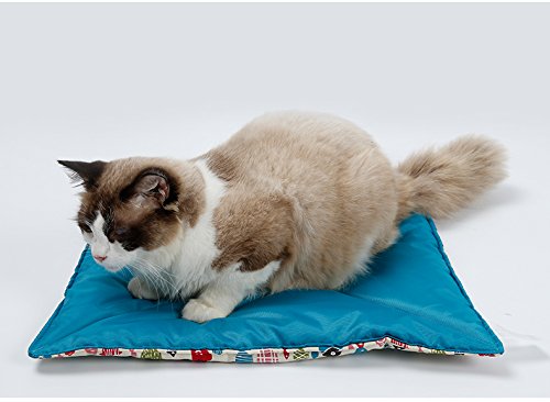 GJDLLC Pink or Blue Crate Liner for Cats or Dogs with Cute Fish Design (Measures 18.5" by 16") Machine Washable Lightly Padded - PawsPlanet Australia