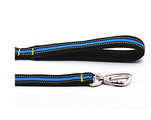 Anti-Shock Reflective Training Bungee Leash Elastic Dog Pet Lead Leash with Soft Padded Loop Handle Blue - PawsPlanet Australia