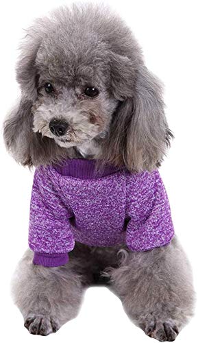 Ducomi Classic Sweatshirt with Elasticated Cuffs and Collar in Soft Fleece Cotton for Dogs and Cats (Purple, XXL) Purple - PawsPlanet Australia