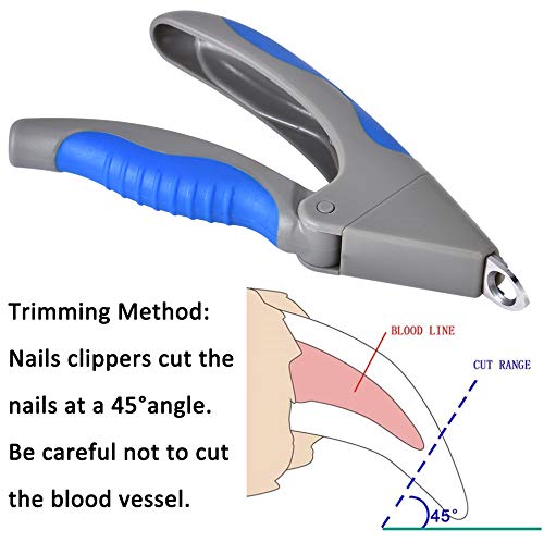 Queta dog cat claw care, claw scissors for dogs, dog nail scissors, nail scissors and nail file, for professional small animals, puppy dogs, puppies, cats, rabbits - PawsPlanet Australia