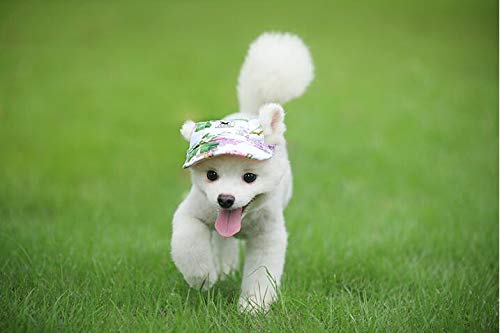 [Australia] - BBEART Dog Hat,Dog Sunscreen Hat Baseball Cap Outdoor Sports Hat with Ear Holes Chin Strap Adjustable Hat for Small and Medium Dog Large Dogs S Flower 