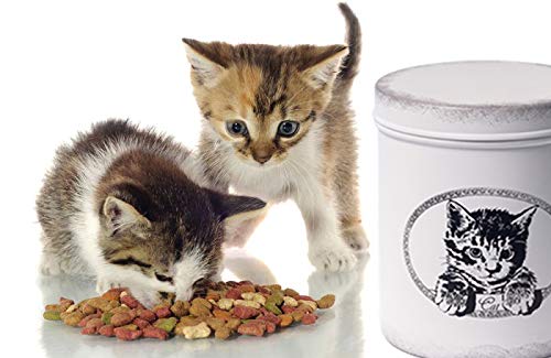 [Australia] - The PetSteel | Antique White Treat Jar | | Sturdy Cat Treat Jar with Cute Cat Design | Tight Fitting Lids | Pet Food Container | Fit's Up to 2lbs of Treats 