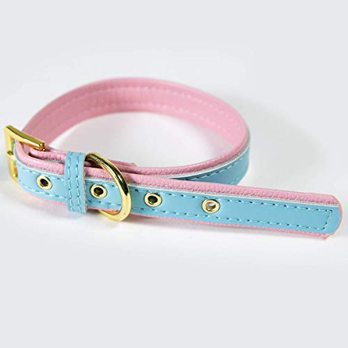[Australia] - CoreLife Dog Collar/Cat Collar - Padded Vegan Leather Pet Collars for Cats, Small Medium Dogs S (Neck Size 10.5" - 13") Baby Blue on Pink 
