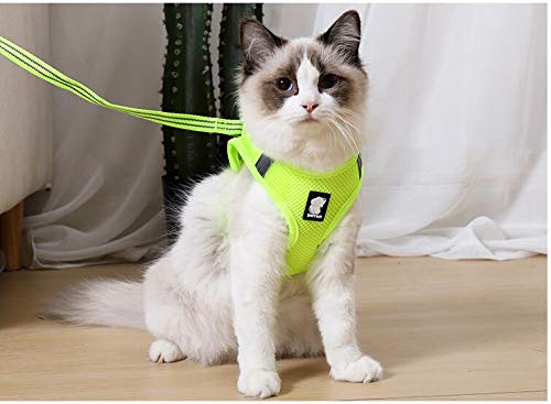 N / A Cat Harness and Leash, Reflective Escape Proof Kitten Harness Adjustable Breathable Mesh Padded Vest Harnesses For Pet Cat Outdoor Walking (M, Fruit Green) M: for chest 35-40cm - PawsPlanet Australia