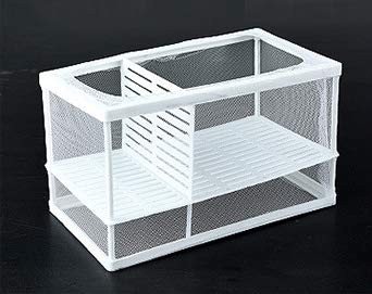 Aquarium Fish Breeder Box Hatching Incubator Isolation Box 3 Rooms Fish Breeding Box with Sucking Disc Fish Hatchery Equipment for Fish Tank Baby Fishes Shrimps Guppy Fishes Clownfishes A Large Size - PawsPlanet Australia