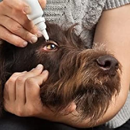 Espree Optisooth Eye Wash for Pets - PawsPlanet Australia