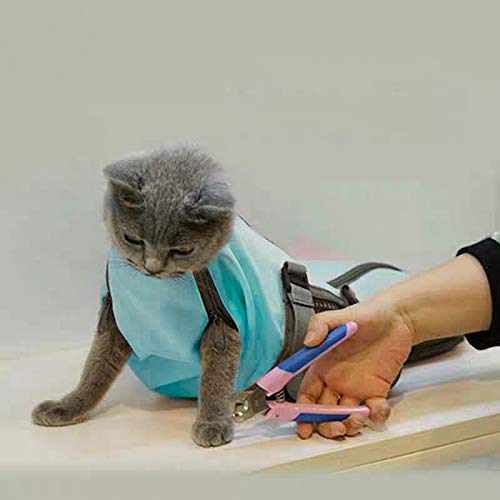 Cinf Cat Bag - Cat Transport and Grooming Bag for Veterinary Visits Medication Administration Dental Care Bathing Nail Trimming and Driving Blue Medium M - PawsPlanet Australia