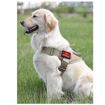 7pcs Service Dog Patches with Velcro for Dog Vest Harness. in Training, Ask to Pet, I work - PawsPlanet Australia