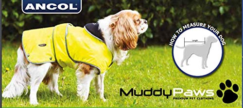 Ancol Muddy Paws Stormguard Coat Blue Small ( Length 30cm/ to fit girth 44-56cm) navy - PawsPlanet Australia