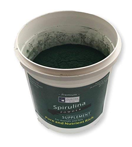 Ourons 100% Pure Spirulina Powder For Horses Dogs Pets - 300g Tub Nutrient Rich - PawsPlanet Australia