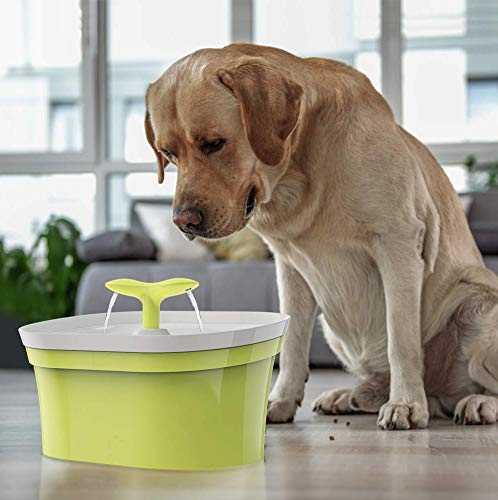 Pet Friend Cat Fountain 2.8 Litre Twin Spout Clean Purified Fresh Water Drinking Bowl For Cats And Dogs With Pump Pre-Filter - PawsPlanet Australia