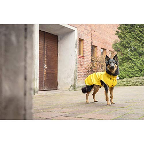 Rukka Pets Coat, Yellow, XL - PawsPlanet Australia