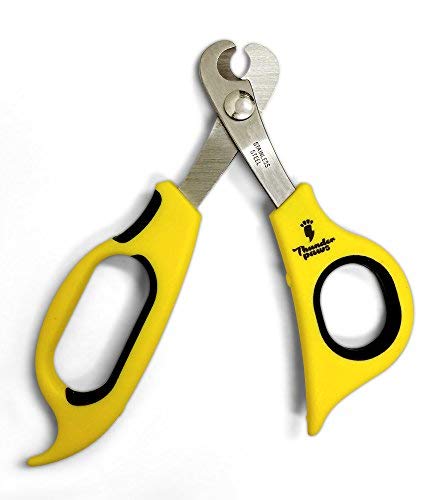 Thunderpaws Professional-Grade Cat Nail Clippers with Angled Tip - Suitable for Cats and Small Animals - PawsPlanet Australia