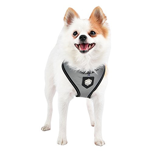 [Australia] - Puppia Legacy Harness A Red XX-Large Puppia Legacy Harness A 