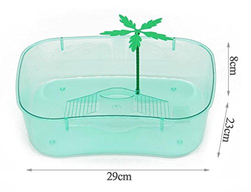 BPS® Large Island Turtle Pack for Aquatic Turtles with Calcium Block and Food for Turtles Colours sent randomly BPS-88510 x 1 - PawsPlanet Australia