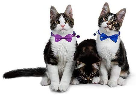 [Australia] - Yangbaobao 2PCS Breakaway Cat Collars with Bowtie and Bell Golden Stars Pattern Safety Kitten Collars, Adjustable from 7.0-12.5 Inch Purple+Blue 