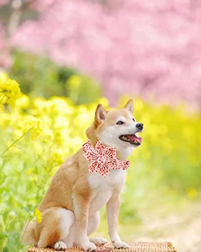 Elegant little tail Dog Collar, Cute Detachable Dog Collar with Flower, Gift Pet Collar Adjustable Dog Collar for Large Medium Small Dogs X-Small (Pack of 1) 1Pink Heart - PawsPlanet Australia