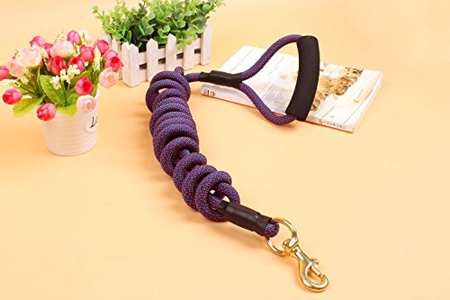 [Australia] - AUTULET Shock Absorbing Rope Lead Dog Leash Red Nylon with Padded Handle for Walking Hiking 8mm*5m dark blue 