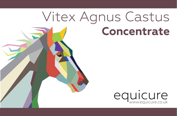 Equicure Vitex Agnus Castus 10x Concentrate - For Horse/Pony (100g) 100 g (Pack of 1) - PawsPlanet Australia