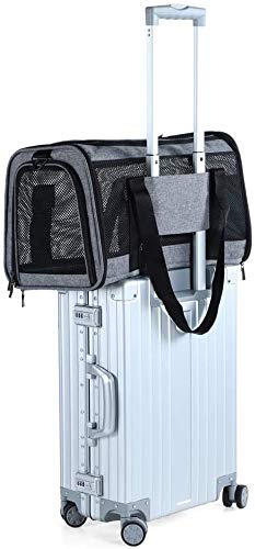 Petsfit Most Airline Approved Soft-Sided Pet Travel Carrier for Cat and Dog,18” x 11” x 11” - PawsPlanet Australia