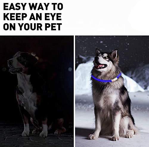 CCWW LED light collar for dogs USB rechargeable LED dog collar piece dog collar luminous rechargeable and adjustable in length with three lighting modes for dogs and cats green - PawsPlanet Australia