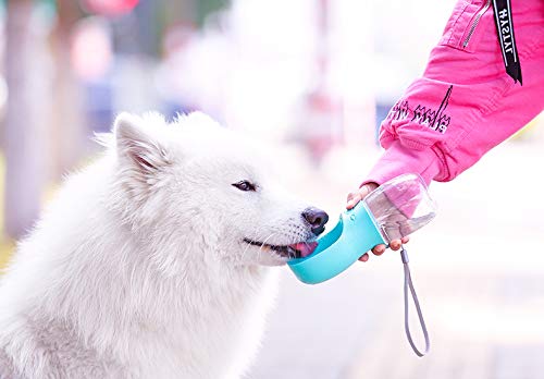 Dog Water Bottle,Portable Pet Water Bottle Leak Proof Dog Water Dispenser for Pets Outdoor Walking, Travel Blue 12oz(350ml) - PawsPlanet Australia