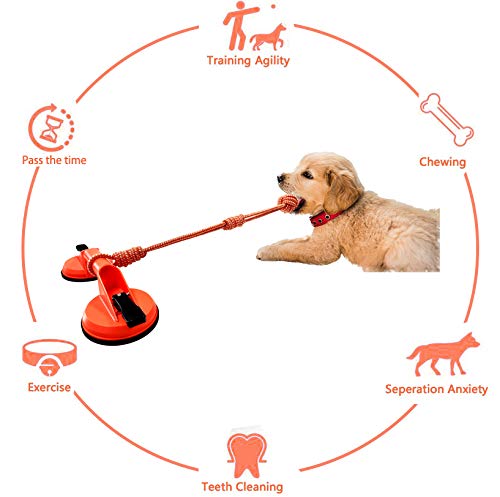 Multifunctional Indoors Outdoors Interactive Dog Tug of War Toy,Suction Cup Dog Chewing Toy,Dog Puzzle and Teeth Cleaning Toy,Dog Rope Ball Toys with Suction Cup for Small Large Dogs Games - PawsPlanet Australia