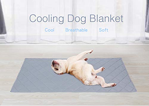 BePetMia Cooling Mat for Dogs and Cats, Pet Dog Cooling Mat 110 x 80 cm, Self-Cooling Mat, Cooling Pad, Washable Summer Cat Dog Cooling Blanket, Sleeping Blanket, Perfect for Home and On the Go 100*80 - PawsPlanet Australia