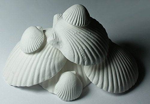 (10 Packages) Weco Wonder Shell Natural Minerals (3 Pack), Small - Total of 30 Shells - PawsPlanet Australia