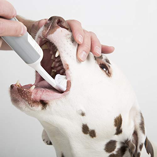 Cleany Teeth Replacement Brush Heads - PawsPlanet Australia