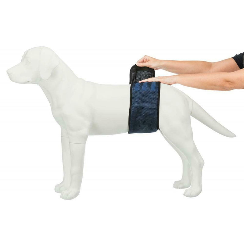 Trixie belly band for male dogs, L: 55-65 cm - PawsPlanet Australia