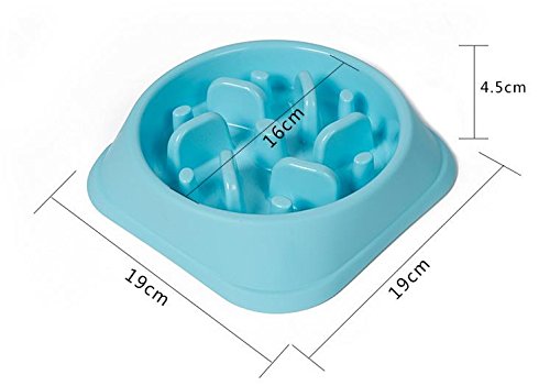 meioro Pet Dog Slow Food Bowl Anti-choke Bowl Pet supplies Large and Small Dogs Lose Weight To Help Digestion Pet Utensils Slow Eating Dog Bowl (Blue) Blue - PawsPlanet Australia