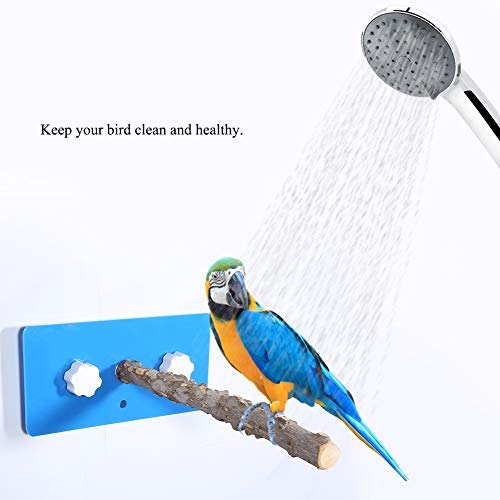Birds Shower Perches, Wall-Mounted Wooden Standing Rack with Plastic Suction Cup for Pet Bird Parrot Macaw Cockatoo African Greys Budgies Parakeet Taking Shower Perching Toy(Fagara Wood) Fagara Wood - PawsPlanet Australia