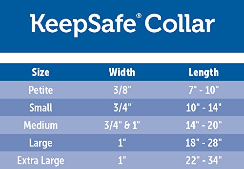 [Australia] - Petsafe KeepSafe Break-Away Collar, Prevent Collar Accidents for your Dog or Puppy, Improve Safety, Compatible with Leash Use, Adjustable Sizes Red Large (1 inch) 