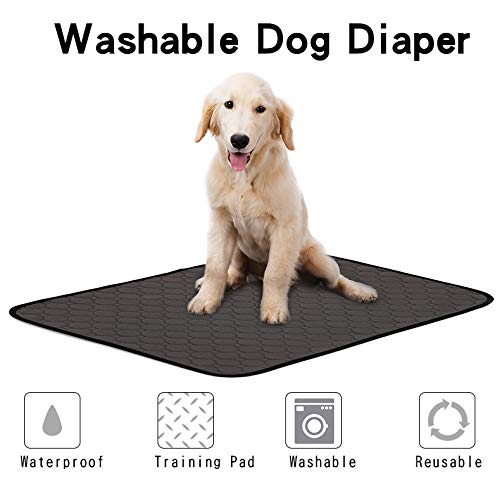 RC GearPro Washable Dog Pee Pads, Washable, Reusable, Pet Training Pads. Waterproof, Leak-Proof and Absorbent. Whelping, Incontinence, Travel, Bed Wetting, Mattress Protector (L, Grey) L - PawsPlanet Australia