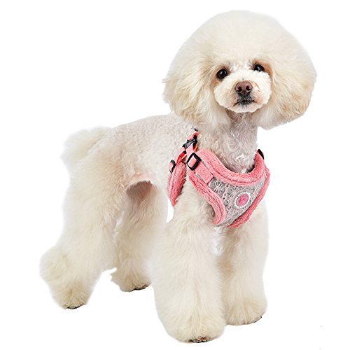 Pinkaholic New York MARGAUX HARNESS C - INDIAN PINK - M - PawsPlanet Australia