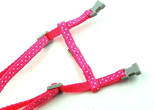 SMALLLEE_LUCKY_STORE Pet Cat Harness and Lead Leash Set Polka Dots Collar Chest Strap Adjustable Escape Proof Walking Training for Kitten Puppy Rabbit,Pink polka dots-pink - PawsPlanet Australia