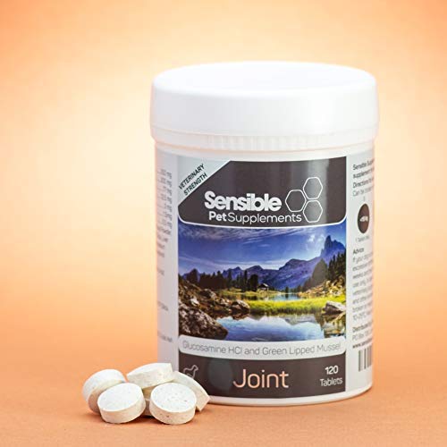 Sensible Pet Supplements 'Joint' for medium and large dogs. Contains glucosamine, green lipped mussel and a range of antioxidants. 120 chewable tablets. - PawsPlanet Australia