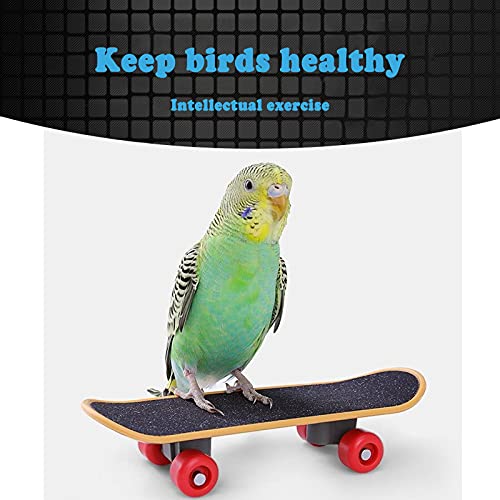 Bird Toys for Parakeets, 4 Pcs Parrot Toys Budgie Cockatiel Toys Bird Training Toys Set Include Bird Basketball Toy Skateboard Stacking Toy and Parrot Wooden Block Puzzles - PawsPlanet Australia