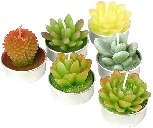 SanSeng Cactus Tealight Candles, Handmade Delicate Succulent Cactus Candles（ Perfect for Birthday Party ,Wedding, Spa, Home Decor( 6 Pcs in Pack) - PawsPlanet Australia