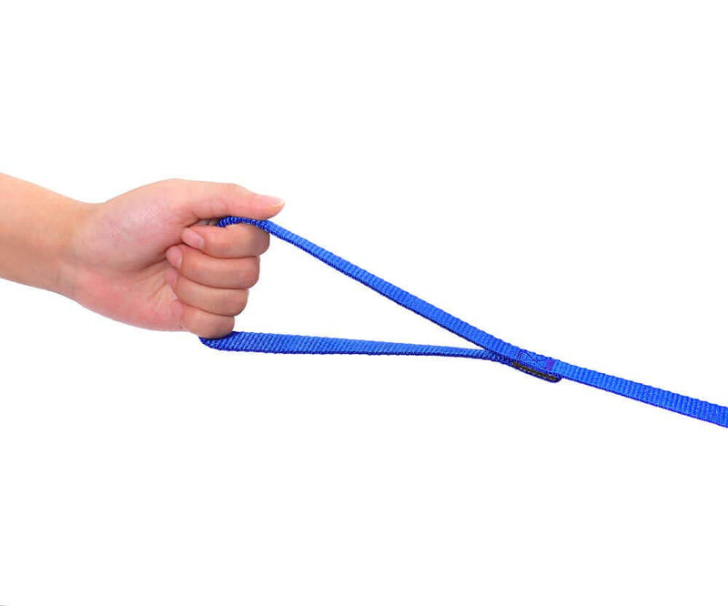 [Australia] - AMAGOOD Dog/Puppy Obedience Recall Training Agility Lead-15 ft 20 ft 30 ft 50 ft Long Leash-for Dog Training,Recall,Play,Safety,Camping 30feet Blue 