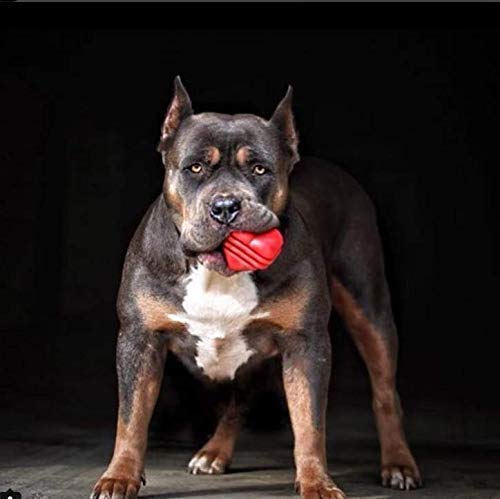 [Australia] - MuttsKickButt by SodaPup - Natural Rubber Heart on a String Reward Ball - Chew & Dental Toy - Fetch Toy - Tug Toy - Made in USA - Made for Aggressive Chewers - Red 