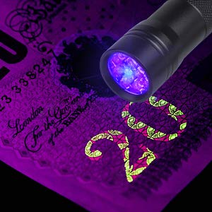 Beinhome 5 Pack UV Flashlight Black Light 12 LED Ultra Violet Blacklight Detector for Dog Cat Urine, Pet Stains, Bed Bug, Scorpion with 5 AAA Free Batteries - PawsPlanet Australia