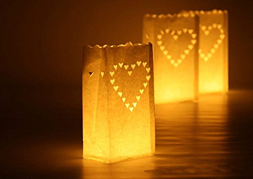 Cospring Luminary Bag Candle Bag Light Holder for Home Outdoor Christmas Wedding Reception Holiday Party and Event Occasion Decoration - Flame Resistant Paper - (20 Count) 05 - PawsPlanet Australia