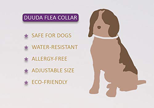 Duuda 2 Pcs of Tick and Flea Collar for Dogs - 8 Months Continuous Protection and Prevention - Waterproof and 100% Natural Essential Oil Extract - Adjustable for All Breeds and Size - PawsPlanet Australia