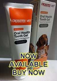 Crosstex VTGEL Tooth Gel, Unflavored, 4 oz. Tube - PawsPlanet Australia