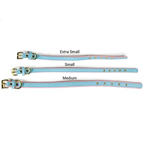 [Australia] - CoreLife Dog Collar/Cat Collar - Padded Vegan Leather Pet Collars for Cats, Small Medium Dogs S (Neck Size 10.5" - 13") Baby Blue on Pink 