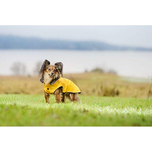 Rukka Pets Coat, Yellow, XL - PawsPlanet Australia