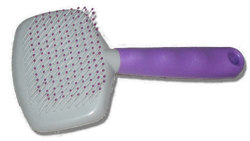 [Australia] - Enrych Nylon Pin Pet Brush 